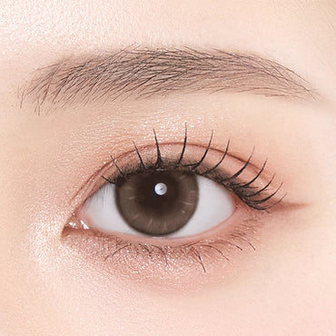 Thetis 1Day Brown - eotd