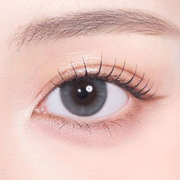 Thetis 1Day Gray - eotd