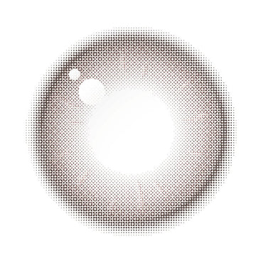 Thetis 1Day Rosy Brown - eotd