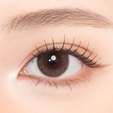 Thetis 1Day Rosy Brown - eotd